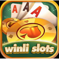 Winli Slots